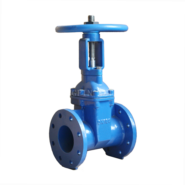 SABS 664 / 665 Resilient Seated Gate Valve O.S.&Y